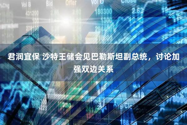 君润宜保 沙特王储会见巴勒斯坦副总统，讨论加强双边关系