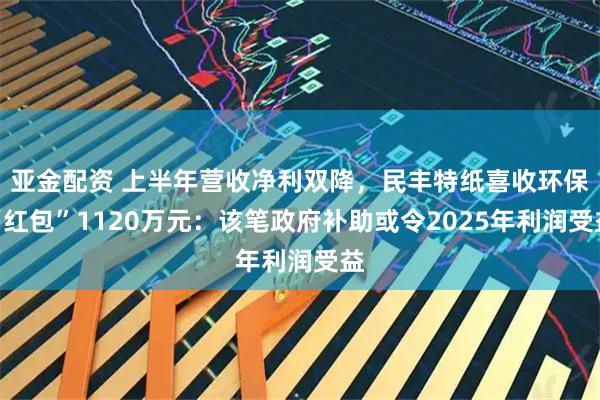 亚金配资 上半年营收净利双降，民丰特纸喜收环保“红包”1120万元：该笔政府补助或令2025年利润受益